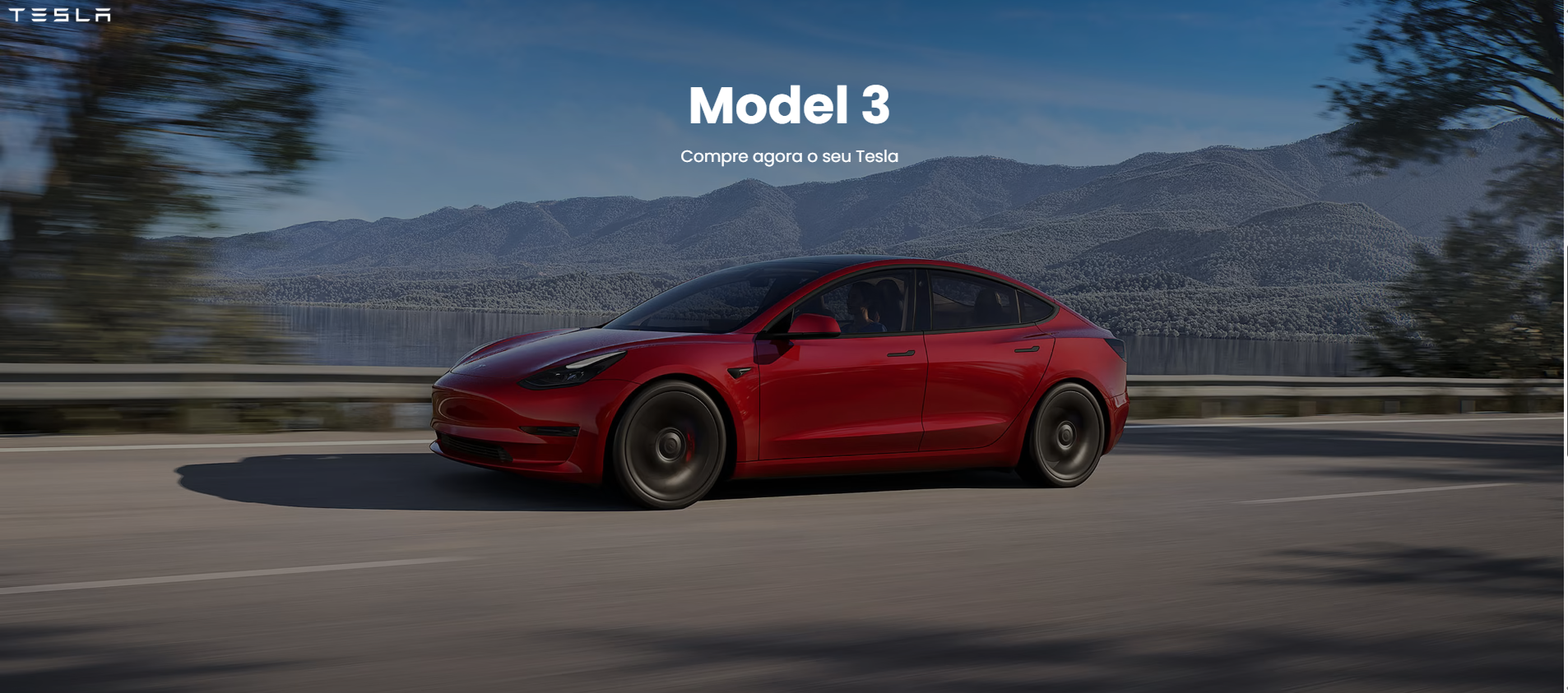 Projeto Tesla
